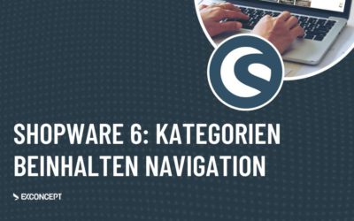 Shopware 6 Kategorien: So bilden Sie die Seitennavigation ab